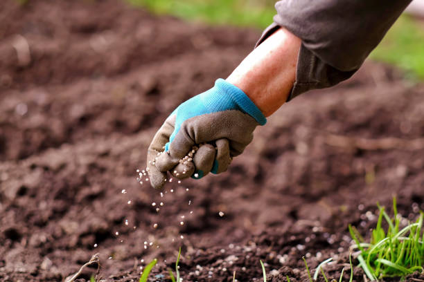Fertilisers have a huge impact on the climate