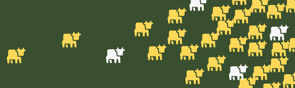 Why is beef so important when considering climate change?