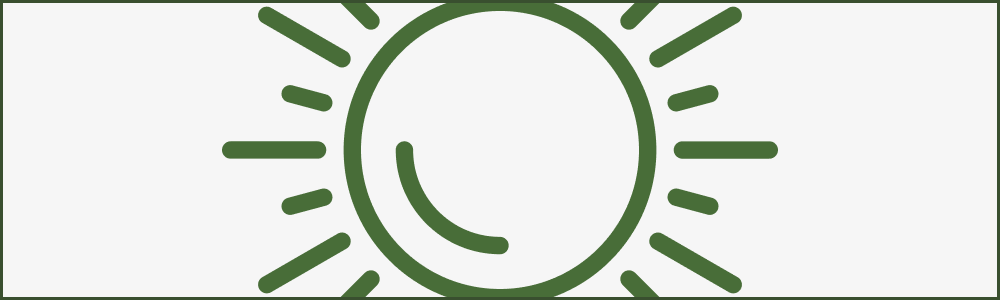Graphic representation of the sun in green on a grey background