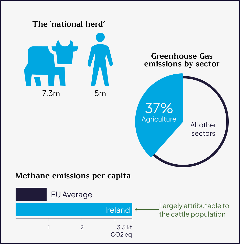 Infographic showing details of the size of the national herd in Ireland, emissions per sector with agriculture the most impactful, and Ireland’s methane emissions per capital being far in excess of the EU average